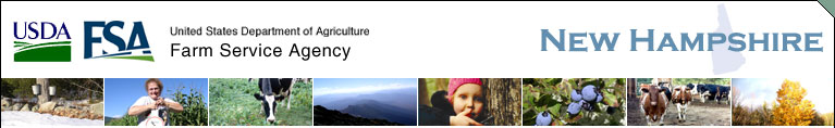 fsa new hampshire home usda farm service agency