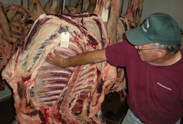 Stepping Outside of the Beltway: Summer Interns Visit Virginia Farms