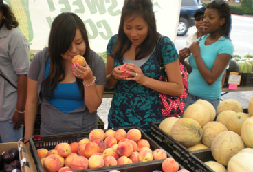 FSA Interns look for ripe peaches