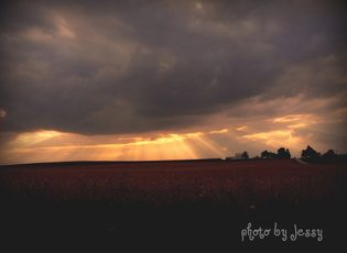 Sunset in Mansfield, Illinois. Photograph by Jessica Wilson.