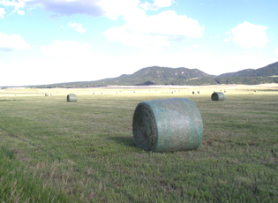 Bales of hay are scattered across this serene Wyoming landscape on Mike Idler’s farm in Crook County.  