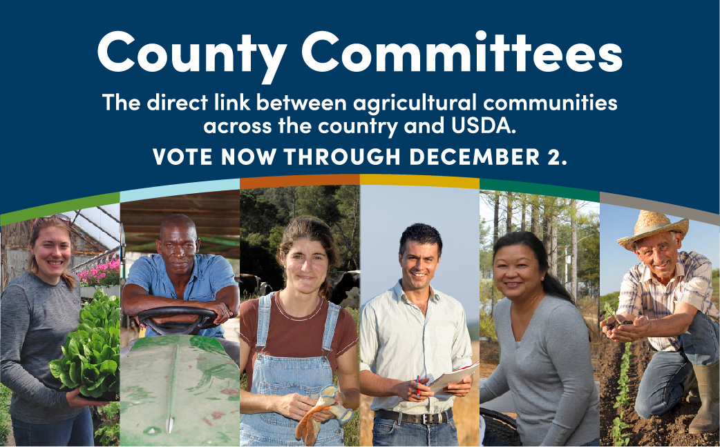 County Committee Elections, vote now through December 2
