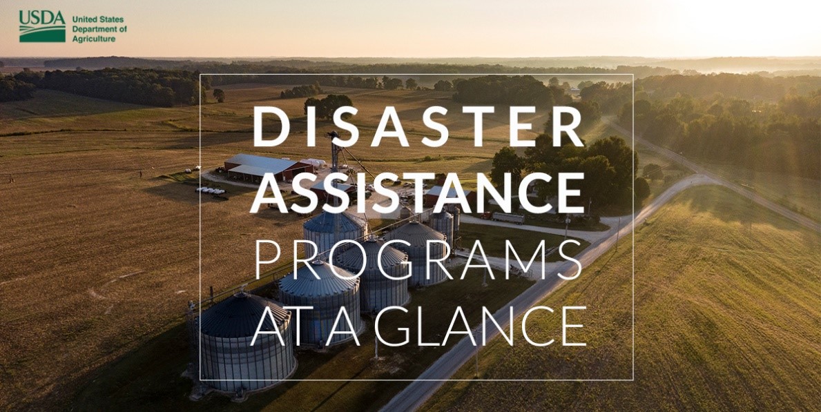 Disaster Assistance Programs At A Glance