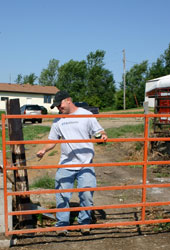 Brian Twedt closes the gate at the cattle pen where his 50 head of breeding stock are raising their calves. Twedt used a Beginning Farmer Farm Service Agency loan to purchase the cattle and cover expenses for raising them.