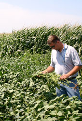 Mark Kallsen exams the root structure of a soybean plant in one of his fields on the 360 acres he farms. This spring, Kallsen doubled the amount of land he farms corn and soybeans on using a loan from the Farm Service Agency.