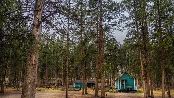 Emergency Forest Restoration Program (EFRP)