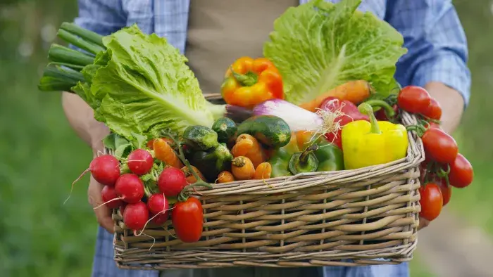 Market Assistance for Specialty Crops (MASC) Program