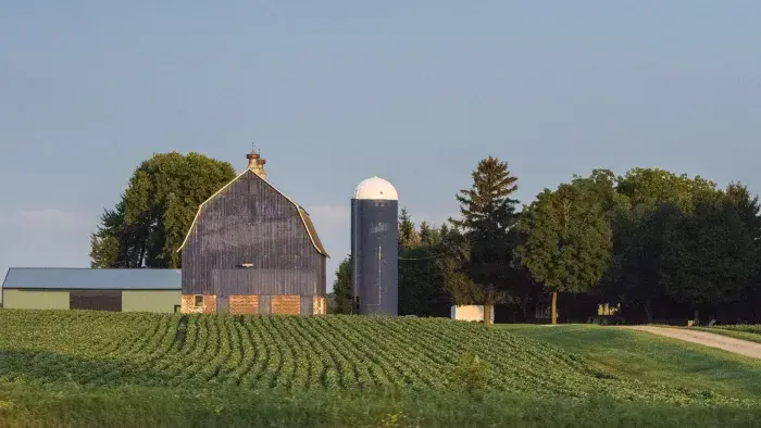 Farm in Minnesota