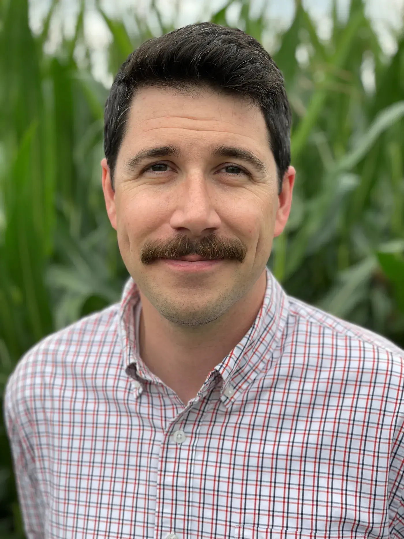 Dan Mahoney, acting executive director of Minnesota
