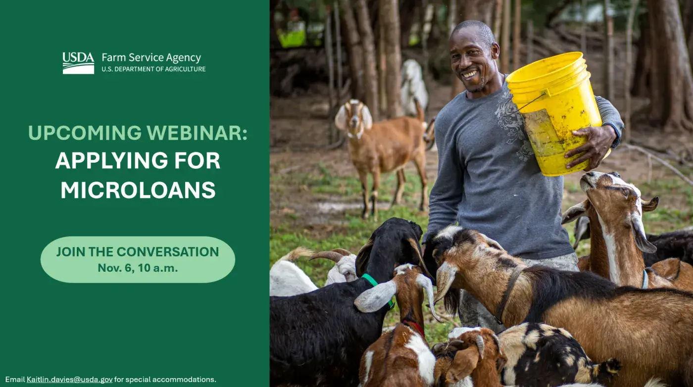 Man with bucket feeds goats. Text says "Upcoming Webinar: Applying for Microloans, Join the conversation, Nov. 6, 2024"