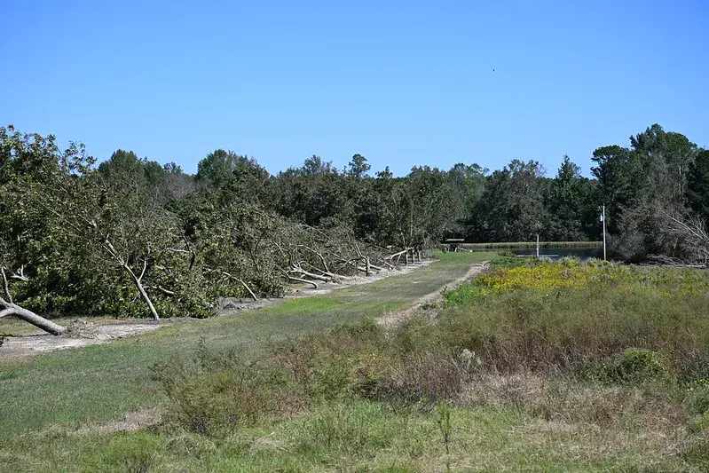 Hurricane Helene at a Georgia pecan orchard