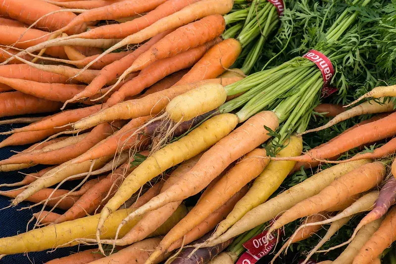 Bundles of carrots