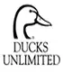 ducks_unlimtedlogo.jpg