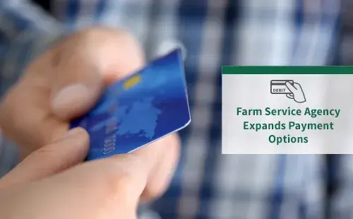 Person holding blue credit card