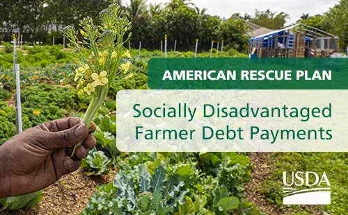American Rescue Plan: Socially Disadvantaged Farmer Debt Payments