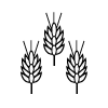 News Icon