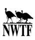 nl_wildturkey_fdn.jpg