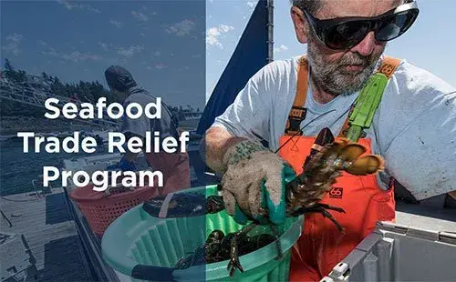 On the left the words "Seafood Trade Relief Program" are displayed in white text with an opaque blue background. To the right of this is a man putting lobsters into a bucket