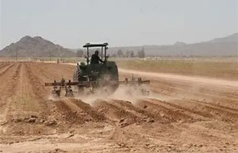 Farmer1